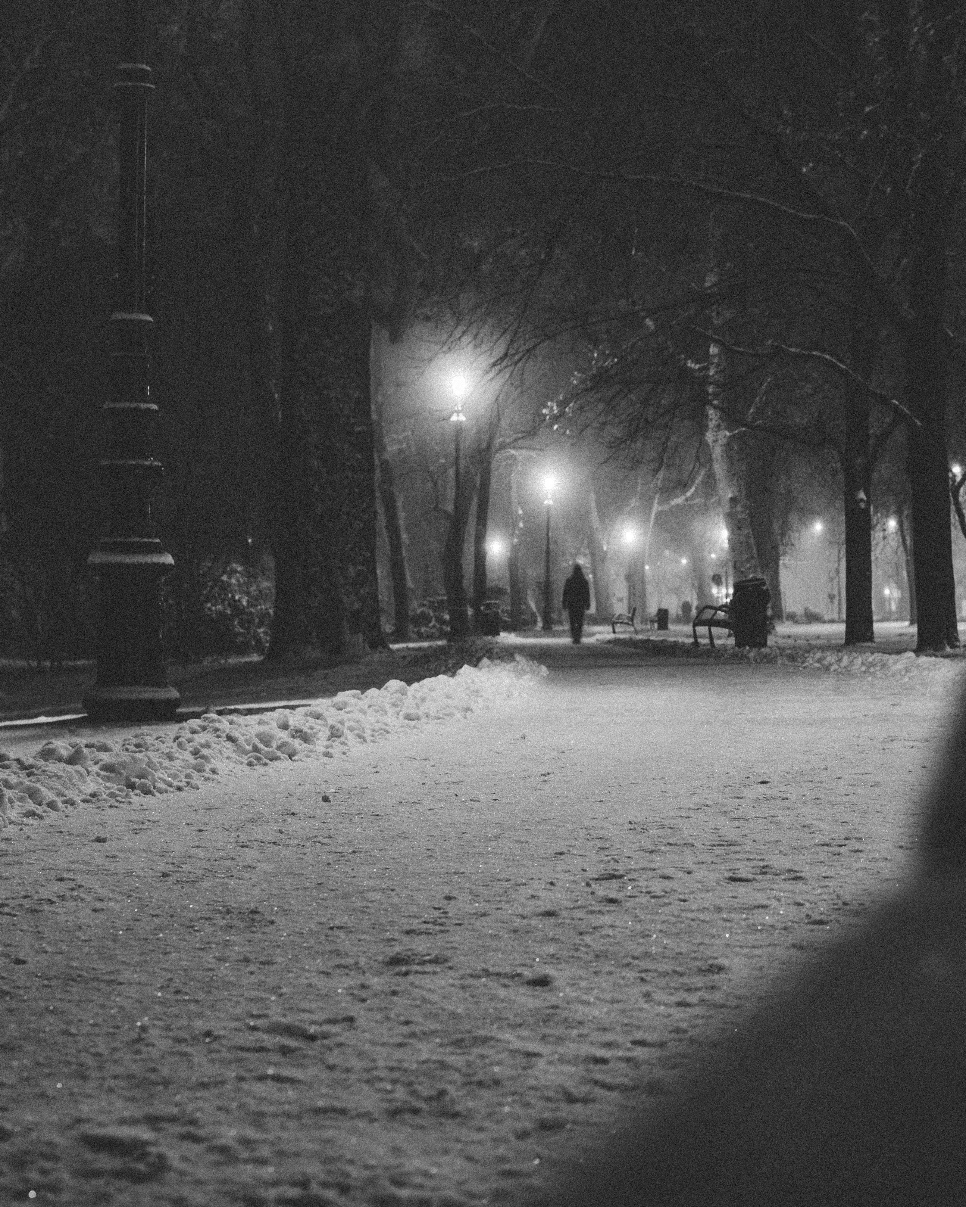 person walking on road beside trees during nighttime